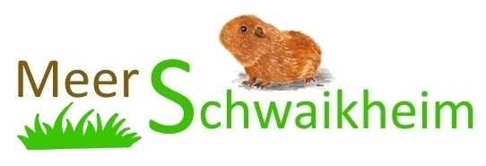 Zur Startseite gehen