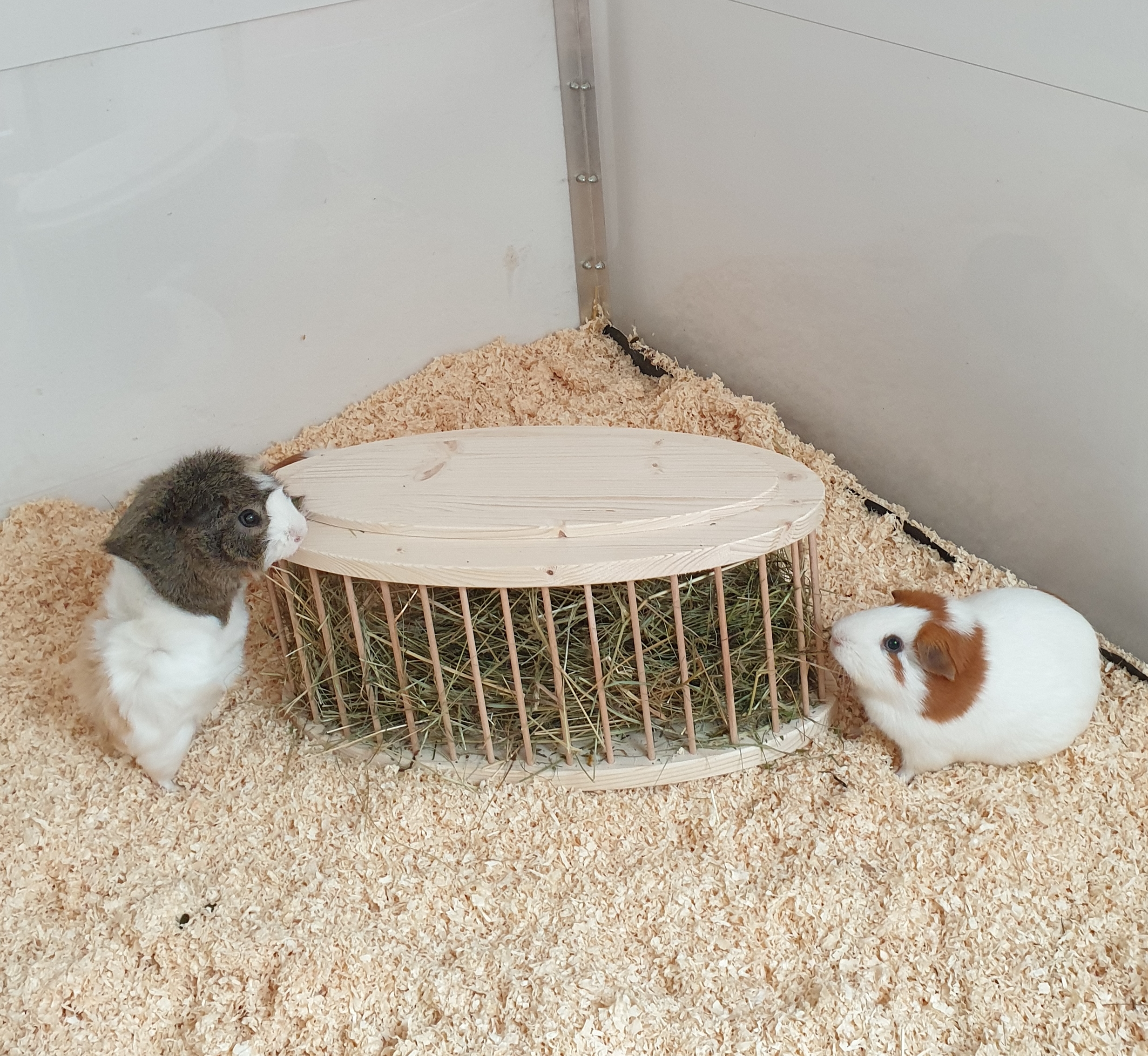 Heuraufe Oval Office